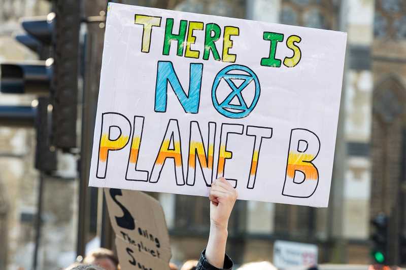 Demonstrationsplakat med texten There is no planet B