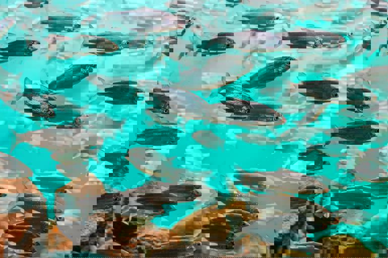 yomex-owo-5BE_aWJUCNI-unsplash.jpg